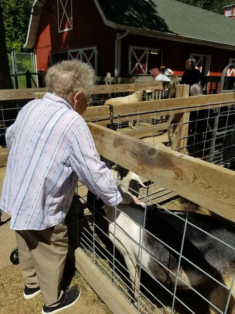 A person pets a goat through a wooden fence at a farm. A red barn with white trim is visible in the background.